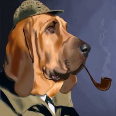 Bloodhound Barry Strikes again!!